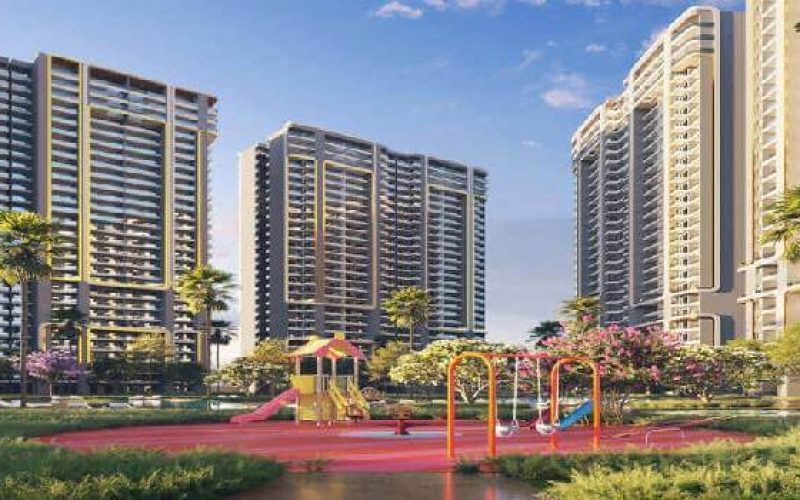 smartworld-dxp-113-2